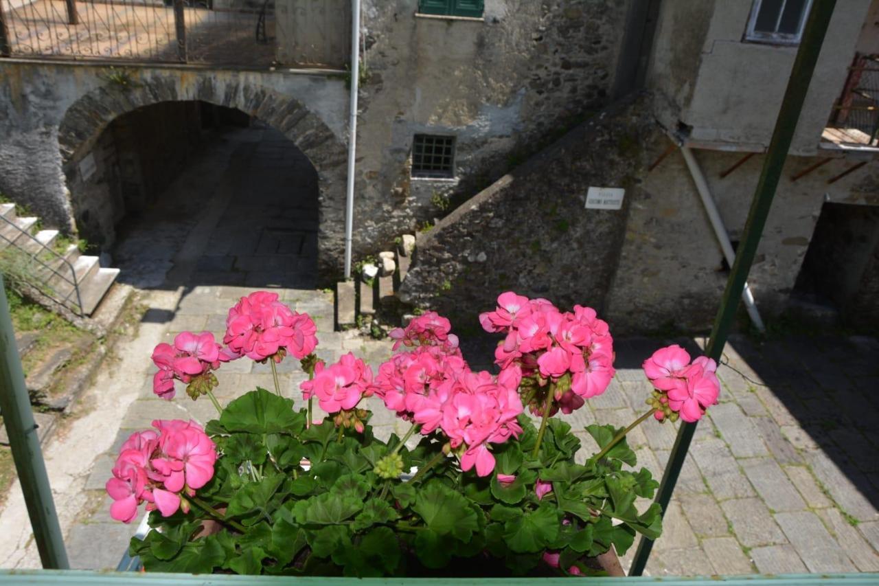 Agriturismo Ghirlanda Norma Rita Carrodano Inferiore Екстериор снимка