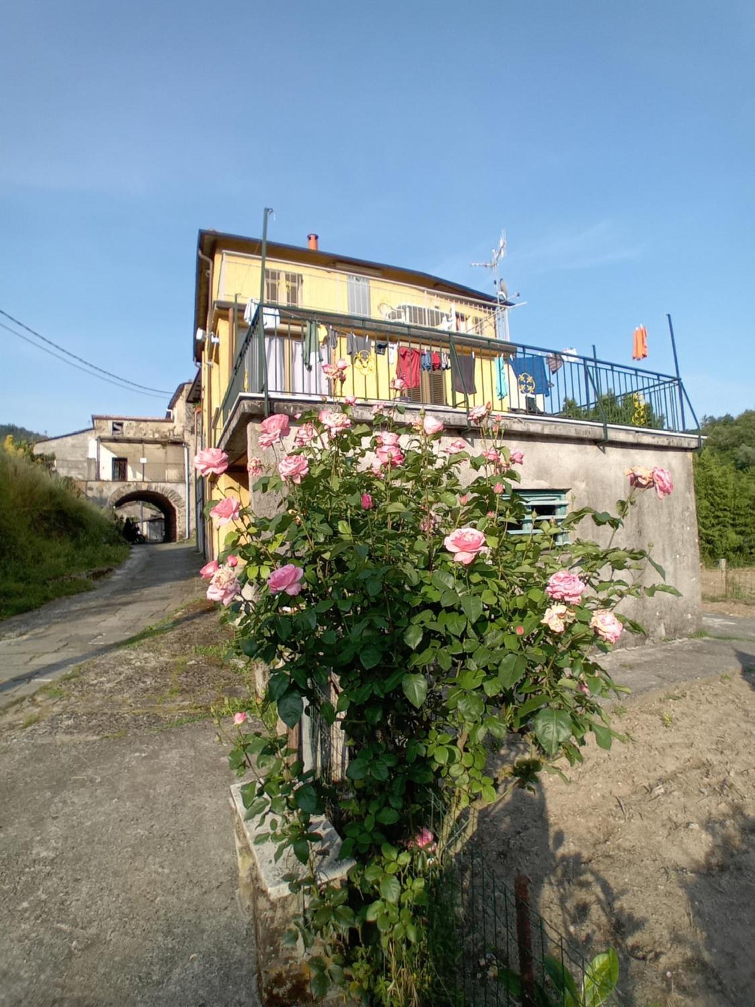Agriturismo Ghirlanda Norma Rita Carrodano Inferiore Екстериор снимка