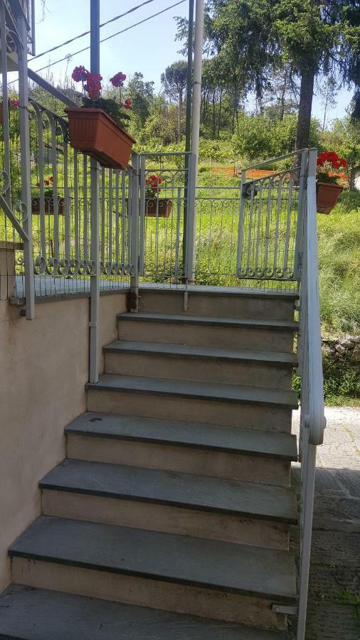 Agriturismo Ghirlanda Norma Rita Carrodano Inferiore Екстериор снимка